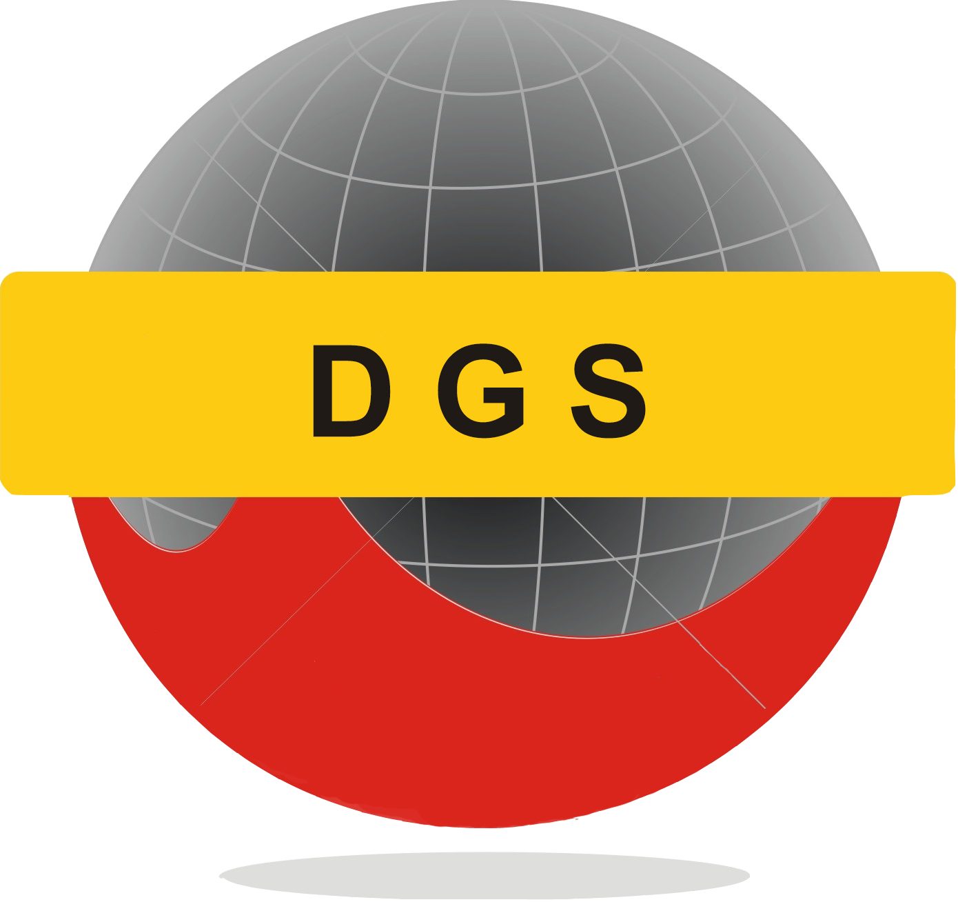 PT DiGiSi GLOBAL SURVEY (abb. DGS)